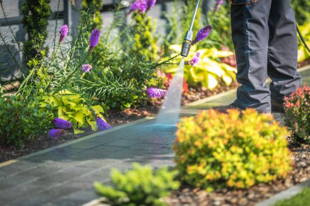 Best Patio and Deck Pressure Washing  in Winfield, MO